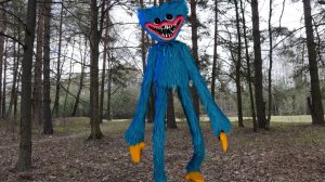 Хагги Вагги похител Дамика