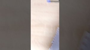 Четыре ночи с пингвином короткометражный фильм ужасов