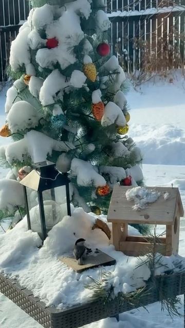 Горят дрова в камине.
