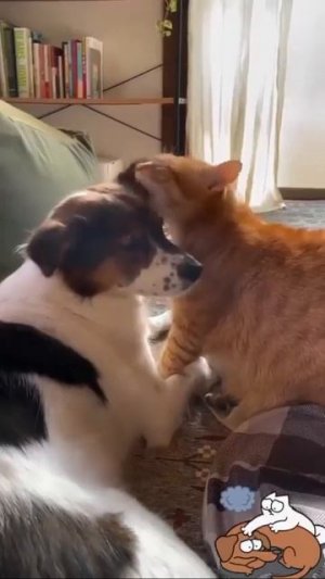 Видео от МЯУтаверс – как метавселенная, но с котами