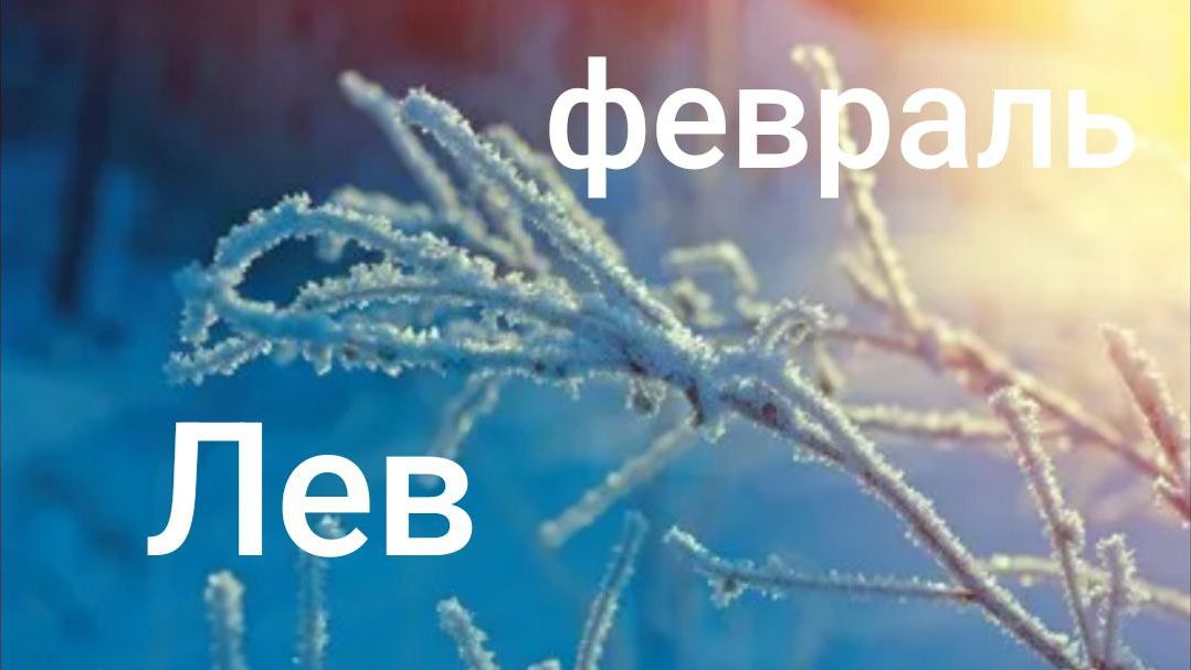 Таро расклад для Львов на февраль 2026 года смотреть онлайн