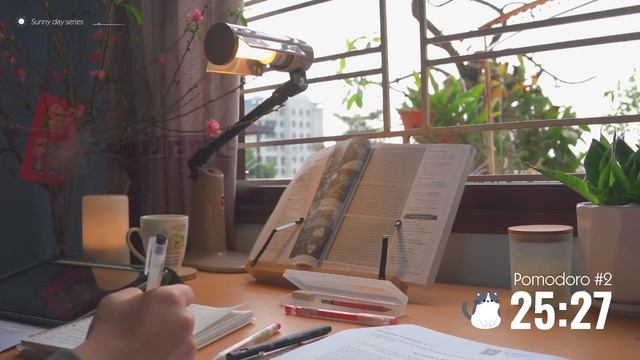 3 часа STUDY WITH ME ｜ Relaxing Lo-Fi ｜ Pomodoro 50⧸10 ｜ Sunny Day - Spring 2024 смотреть онлайн