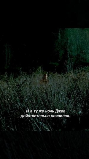 Краткий пересказ фильма