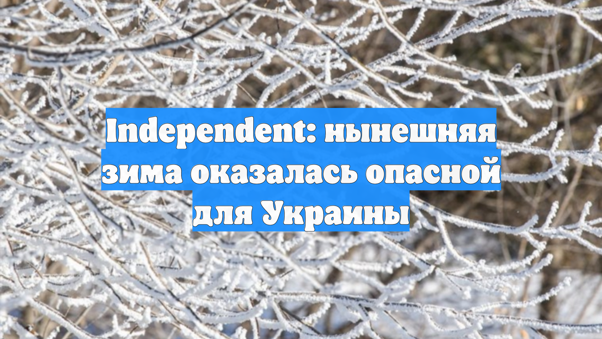 Independent: нынешняя зима оказалась опасной для Украины