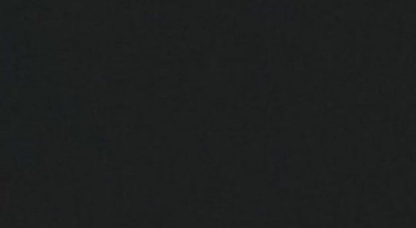 Forest fan music video