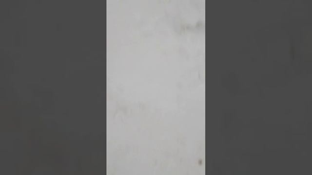 ХАХАХАХАХА смотреть онлайн