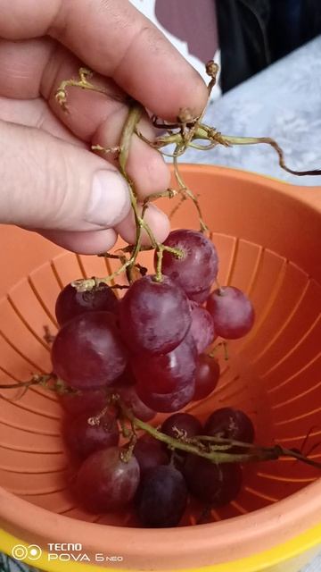 Береги здоровье! его не купишь.