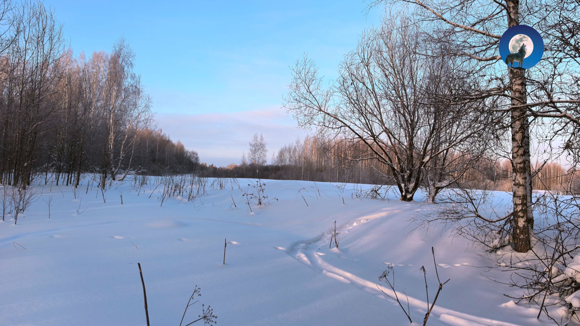 ОДИНОЧНАЯ ОХОТА НА ЗАЙЦА БЕЛЯКА. ПЕРВАЯ ОХОТА 2026 смотреть онлайн