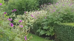 СОВЕТЫ БРИТАНСКОГО САДОВНИКА 6 МНОГОЛЕТНИХ ЦВЕТОВ, КОТОРЫЕ ЦВЕТУТ ВСЕ ЛЕТО