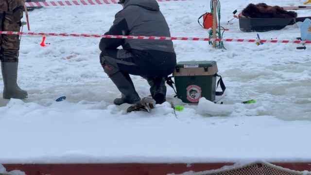 1000138321.mp4 смотреть онлайн