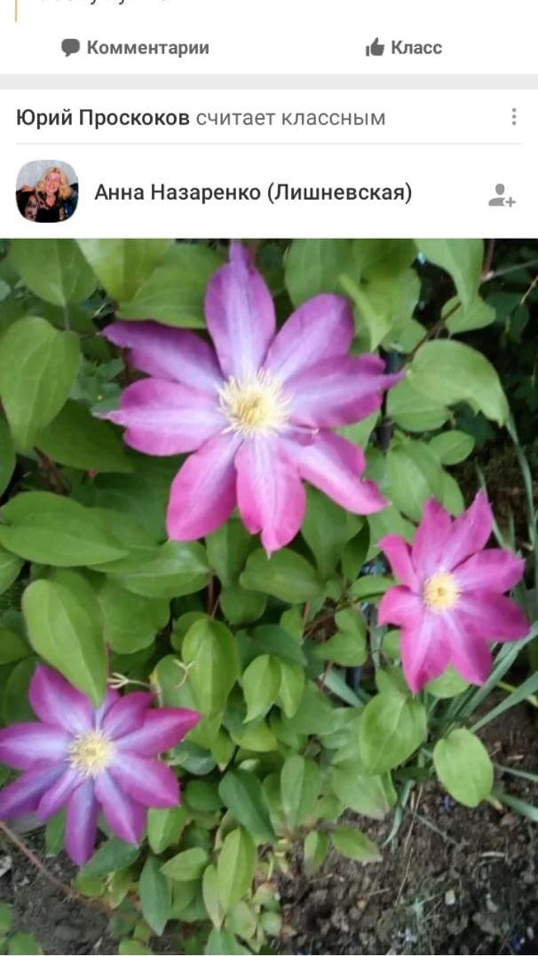 Памяти Высоцкого