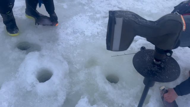 copy_87740996-A619-4305-B701-A08C85A2542F смотреть онлайн