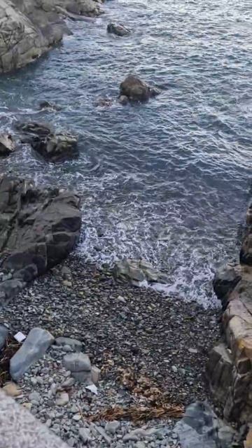 Красота Черного Моря смотреть онлайн