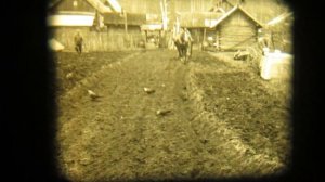 1990г. ВСПАШКА ОГОРОДА ПОД ЛОШАДЬ