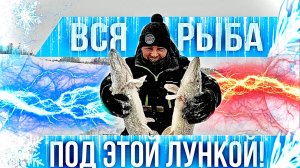 ТАСКАЮ ЩУК С ОДНОЙ ЛУНКИ! РЫБАЛКА НА НОВЫЕ СНАСТИ И ПРИМАНКИ.