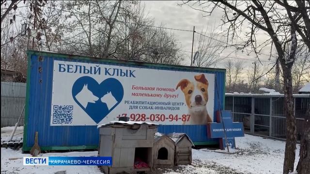 Вести Карачаево-Черкесия 28.12.2025 смотреть онлайн