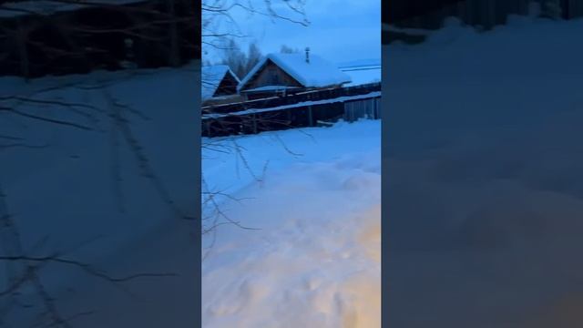 Новогодние каникулы на даче