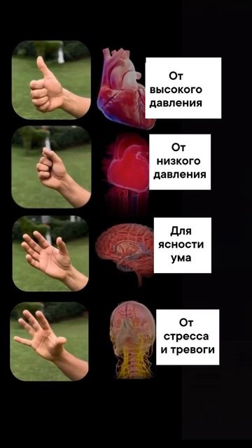 Простая практика