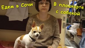Едем в Сочи🚂 / В плацкарте с собакой🐶  / Осенние каникулы🤗