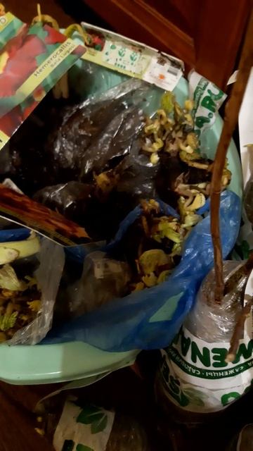 Семена.ру отзыв смотреть онлайн