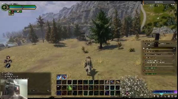 Худеем играя в Ashes of Creation