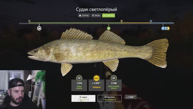 ✅  Выживалити в деревне, делаем квесты ✅ #russianfishing4