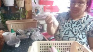 11-01-2026. Жизнь в деревне.Проводила дочь на автобус.Обзор семян перцев, цветов какие буду сажать.