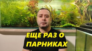 Еще раз о парниках для аквариумных растений