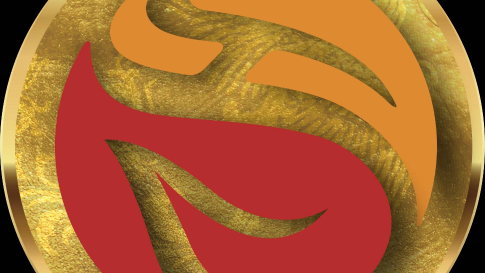 🟠 WHIEDA новая презентация