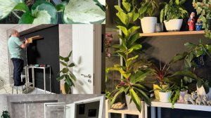 ФИТОСТЕНА. Вертикальное оформление стены, живыми растениями.