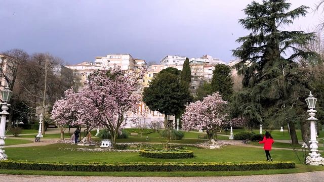 ВЛОГ / СТАМБУЛ - ЛЮБИМЫЕ МЕСТА И ЕДА / ЧТО БЫЛО 8 МАРТА - Т смотреть онлайн