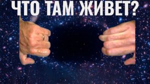 В Это Невозможно Поверить. Факты о Космосе. Сонный космос