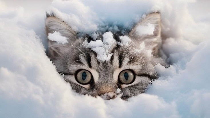 11-01-2026 Жизнь в селе.🏠 Всем привет 👋.