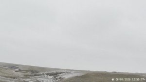 Охота на зайца 2026г