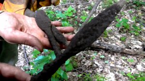 КОПЬЯ.ТОПОР-ЧЕКАН!В древнючем лесу-древнючие находки!