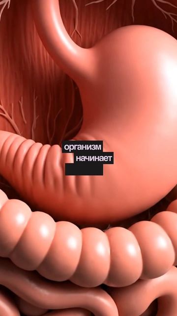 Почему вода не помогает худеть смотреть онлайн