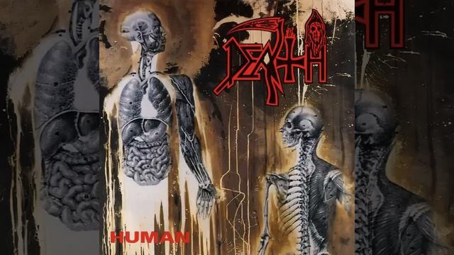 05 - Lack Of Comprehension