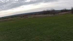 Охота на зайца - думал уйдёт...