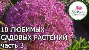 10 любимых садовых растений. часть 3