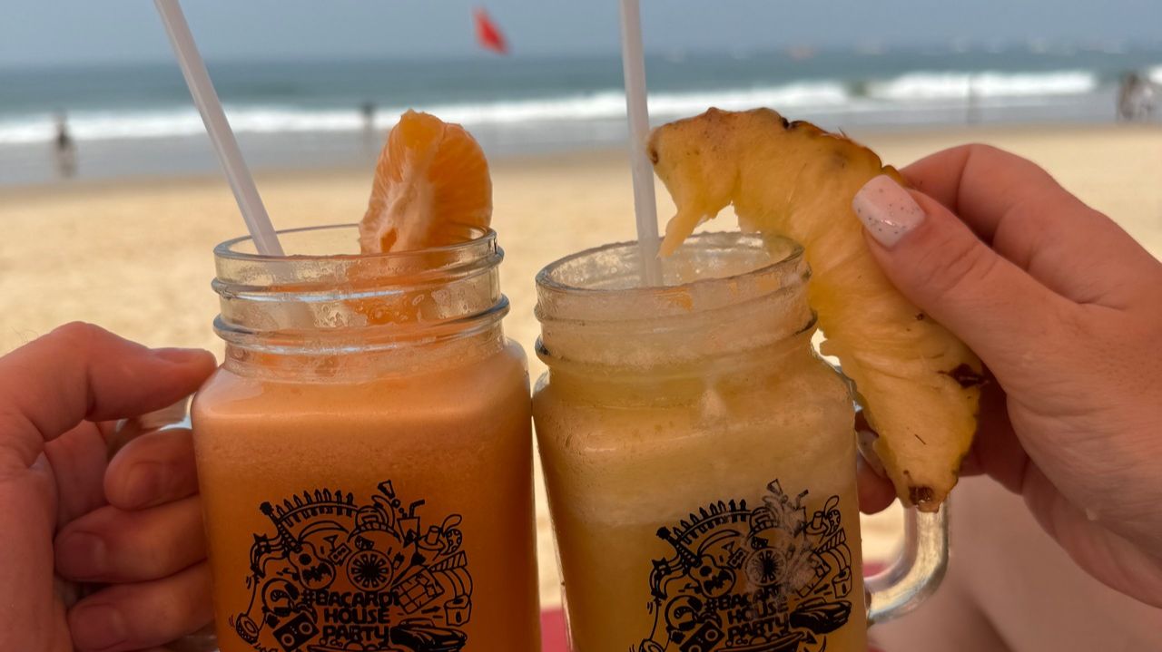 4 часть Индия 2025г. Возвращение с Хампи. Два пляжных дня на ГОА. Сшили кожаные куртки, впечатления.