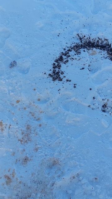 второй день зимней рыбалки жесть