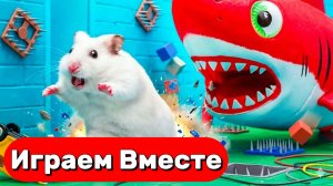 ХОМЯК ВЫБИРАЕТСЯ ИЗ СЕКРЕТНОЙ ХОМЯЧЕЙ ТЮРЬМЫ ! Играем ВМЕСТЕ ! Помогаем выбраться из лабиринта !
