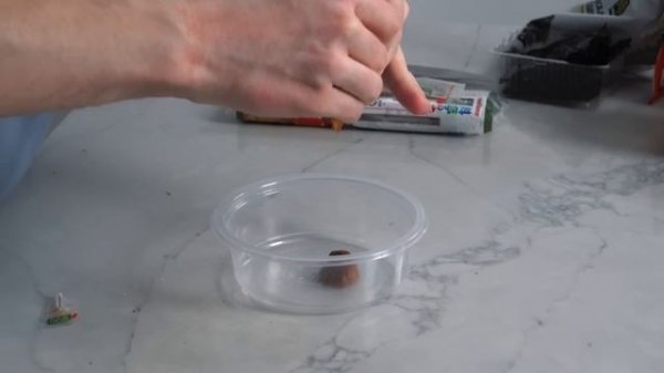 Приготовил Школьные ЛАНЧИ Из Разных Стран (и оценил)