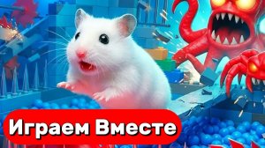 ХОМЯК ВЫБИРАЕТСЯ ИЗ СЕКРЕТНОЙ ХОМЯЧЕЙ ТЮРЬМЫ ! Играем ВМЕСТЕ ! Помогаем выбраться из лабиринта 3