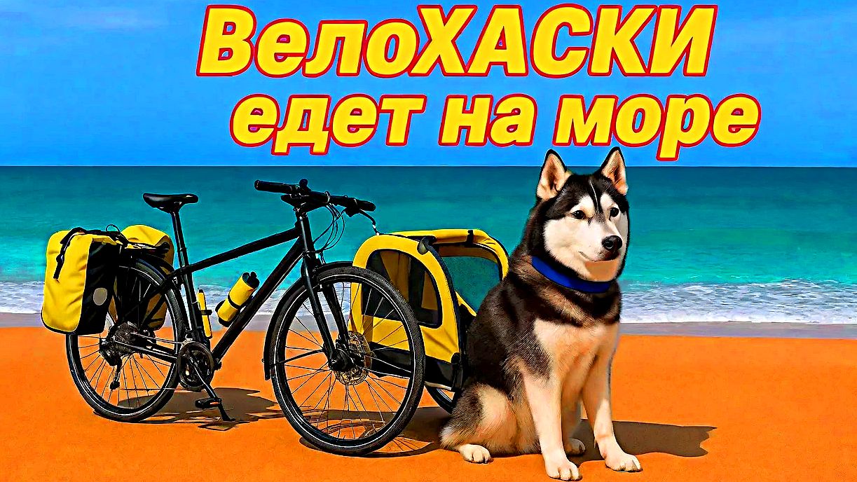 С собакой на море на велосипеде с велоприцепом смотреть онлайн