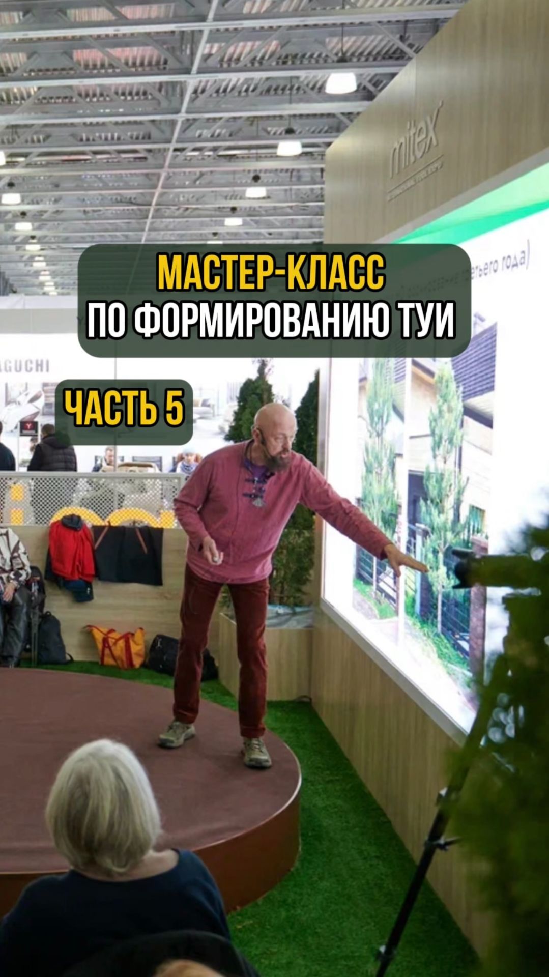 Мастер-класс по формированию туи. Часть 5 смотреть онлайн