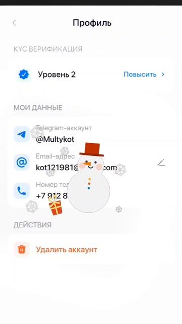 Как установить кошелёк Antarctic Wallet