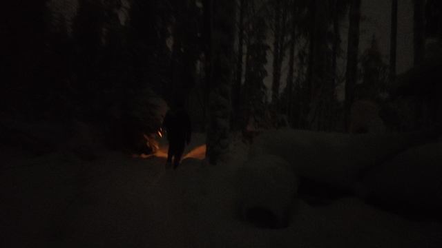 10-января-2026 - Прогулка на сказочную поляну (Петрозаводск г., без монтажа и без вырезок, как есть)