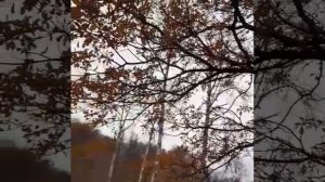 Нурия Абдуллина - Ғүмер үтә