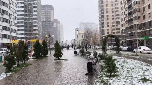 Прошлогодний влог. В поисках новой квартиры. Подготовка к Новому году.